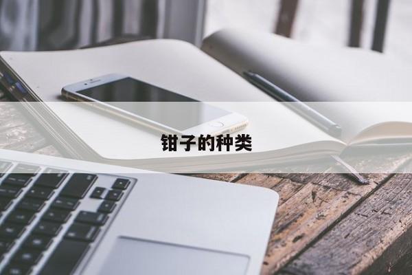 鉗子的種類