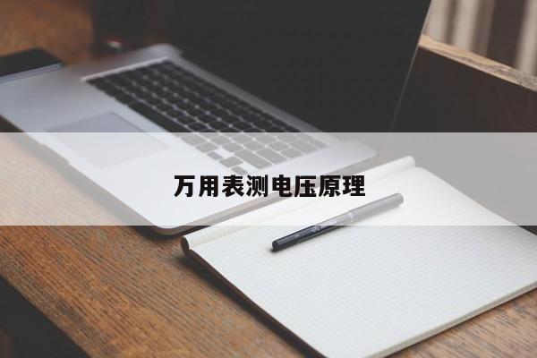 萬用表測電壓原理