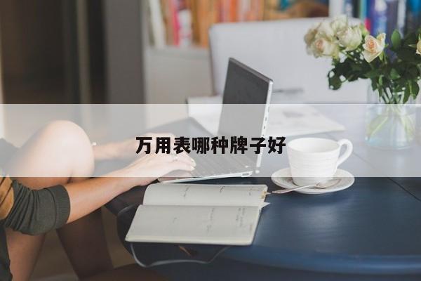 萬用表哪種牌子好