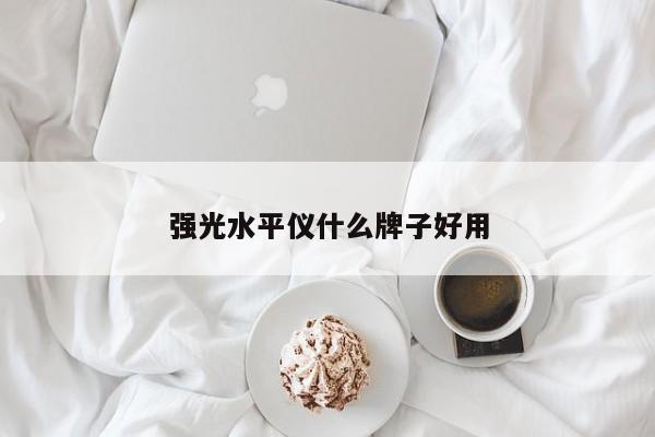 強光水平儀什么牌子好用