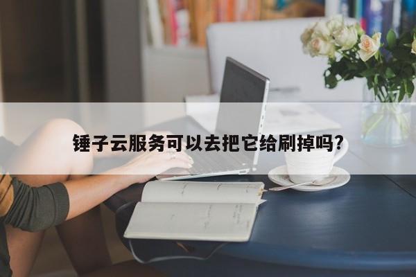 錘子云服務(wù)可以去把它給刷掉嗎?