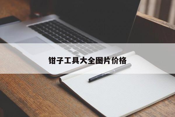 鉗子工具大全圖片價格