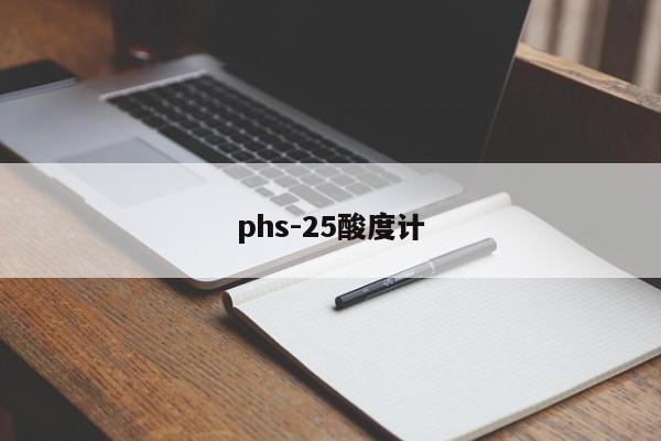 phs-25酸度計(jì)